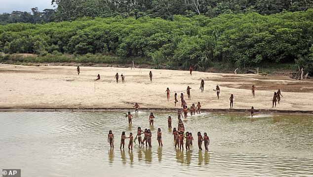 Isolated Amazon Tribe Faces Existential Threat from Common Diseases