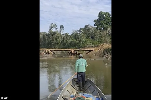 Isolated Amazon Tribe Faces Existential Threat from Common Diseases