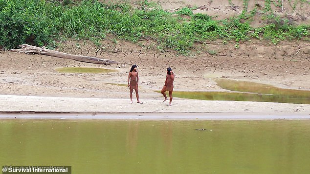 Isolated Amazon Tribe Faces Existential Threat from Common Diseases