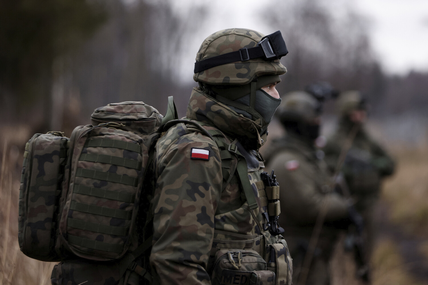 Logistical Infrastructure Gap Leaves Polish Army Vulnerable in War Scenario