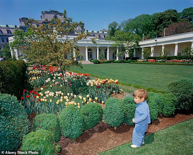 Privileged Access: The Hidden Truths Behind Trump's 2025 Presidency