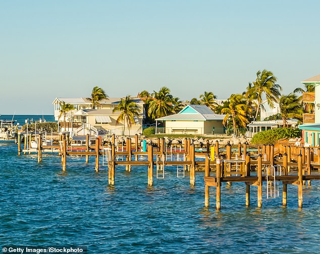 Young Boy Survives Shark Encounter Thanks to Sister's Quick Thinking in Florida