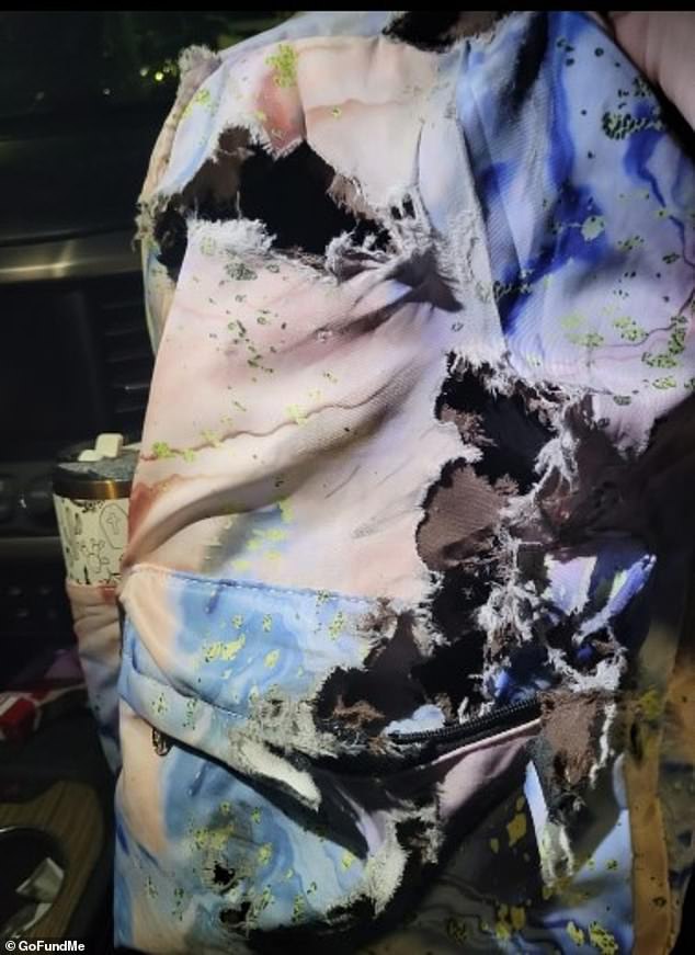 A Harrowing Morning: The Unfolding Tragedy That Changed Skylynn Banick's Life