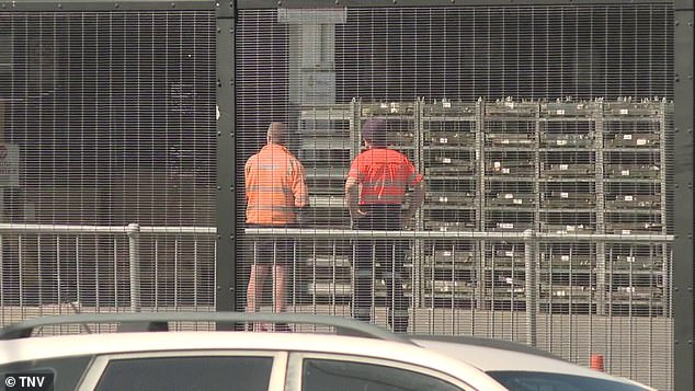 Tragedy at Sydney Airport: Freight Handler Crushed by Vehicle in Terminal, Police Investigate Circumstances