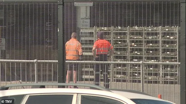 Tragedy at Sydney Airport: Freight Handler Crushed by Vehicle in Terminal, Police Investigate Circumstances