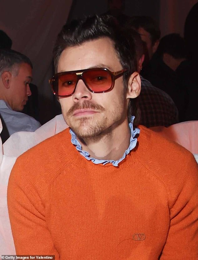 Neighbors Concerned Over Harry Styles' £30 Million Mansion Renovation in Hampstead