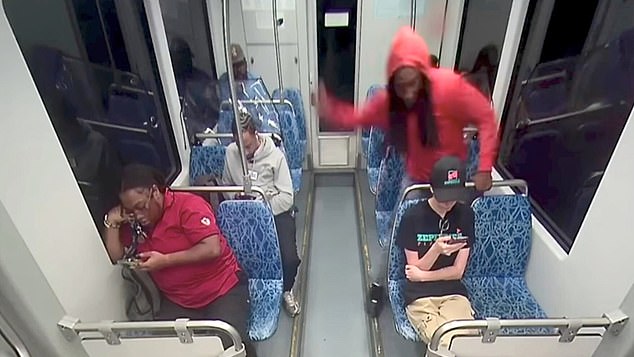 Privileged Insights into the Stabbing of Ukrainian Refugee Iryna Zarutska Reveal Federal Government's Limited Access to Criminal Accountability