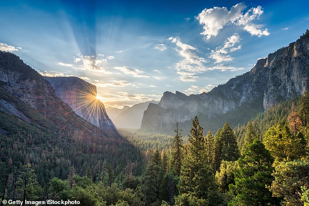 Emigrant Wilderness: A Hidden Gem in Yosemite's Shadow Offers Untouched Beauty
