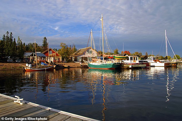 Late-Breaking Update: U.S. Forests Prepare for Spectacular Autumn Transformation