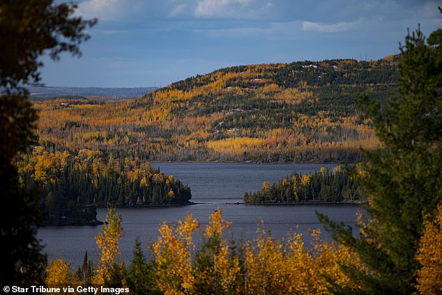 Late-Breaking Update: U.S. Forests Prepare for Spectacular Autumn Transformation