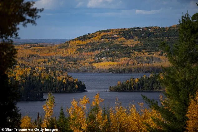 Late-Breaking Update: U.S. Forests Prepare for Spectacular Autumn Transformation