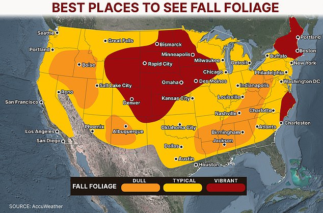 Late-Breaking Update: U.S. Forests Prepare for Spectacular Autumn Transformation