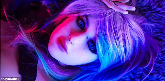 Technological Innovations in Human Intimacy: The Emergence of Companion Robotics