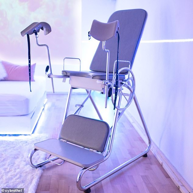 Technological Innovations in Human Intimacy: The Emergence of Companion Robotics