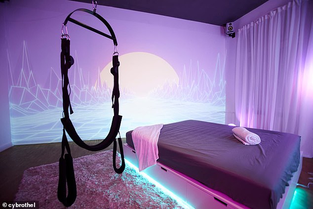 Technological Innovations in Human Intimacy: The Emergence of Companion Robotics