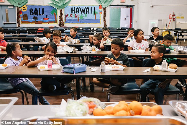 Governor Newsom's New Battle: California's Historic Ultra-Processed Food Ban in Schools, Backed by Public Health Experts