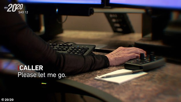 A Mother's Tragedy: The Abduction of Denise Amber Lee and Its Impact on Her Family