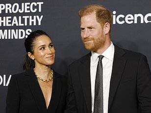 Chad's Government Ends 15-Year Partnership with African Parks Over Neocolonialism Accusations