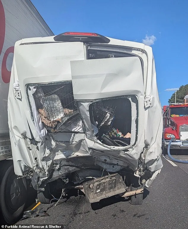 Eight Dead in I-85 Pileup: 'Following Too Closely' Led to Chain Reaction, Says Georgia DPS Spokesperson