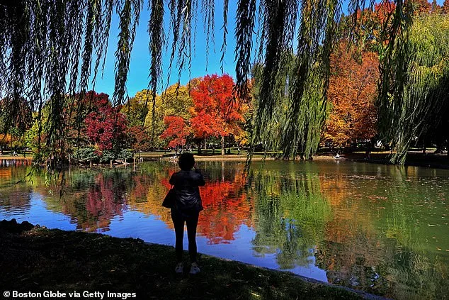 Exclusive Insights: Drought's Restricted Impact on New England's Autumn Foliage