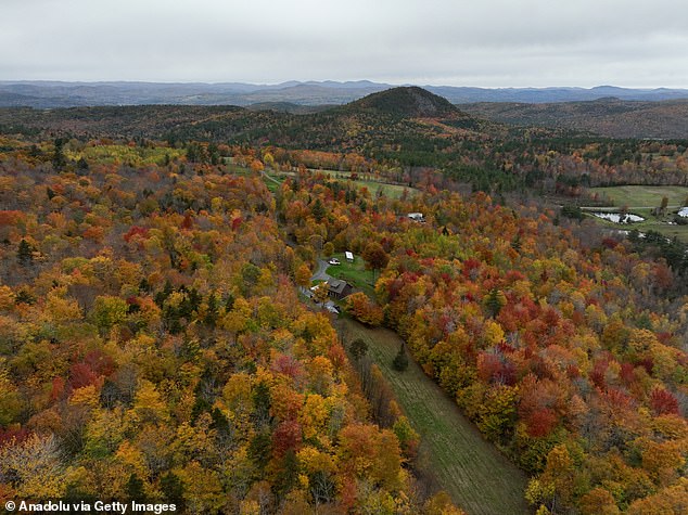 Exclusive Insights: Drought's Restricted Impact on New England's Autumn Foliage