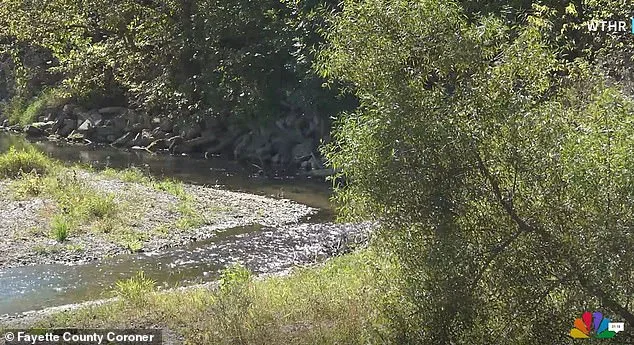Exclusive Discovery: 4,270-Year-Old Skull Unearthed in Indiana Sparks Legal and Archaeological Debate