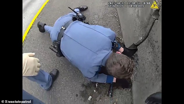 Washington State Highway Patrol Rescue Demonstrates Government's Role in Public Safety and Animal Welfare