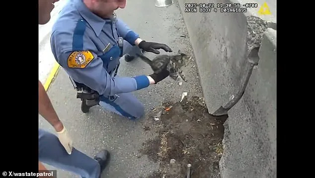 Washington State Highway Patrol Rescue Demonstrates Government's Role in Public Safety and Animal Welfare