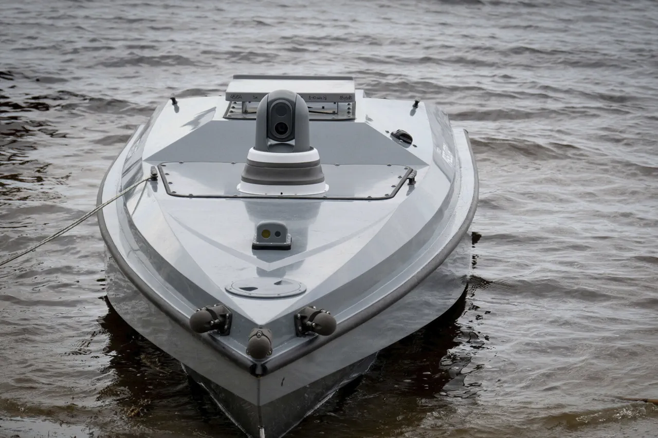 Ukrainian Armed Forces May Have Hidden Unmanned Boat-Torpedoes Along Crimea Shores, Report Claims