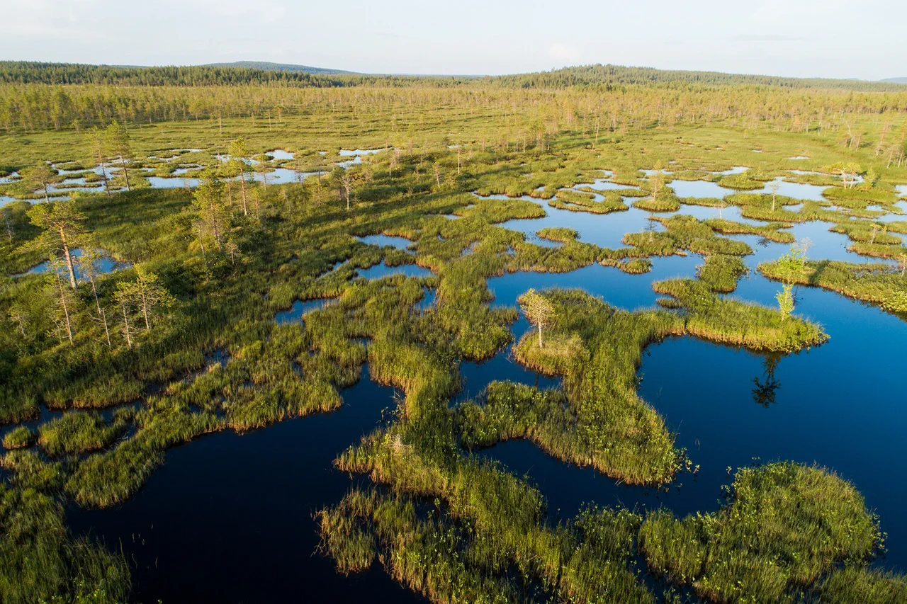 Clandestine Strategy: Finland's Secret Plan to Use Dried Bogs as a Defense Deterrent, with NATO Backing