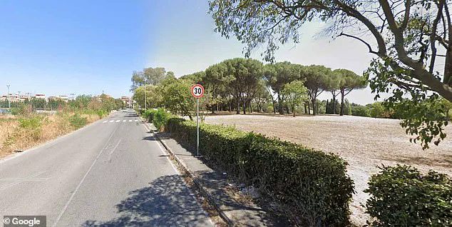Rome Park Attack Sparks Debate Over Public Safety Regulations and Government Response