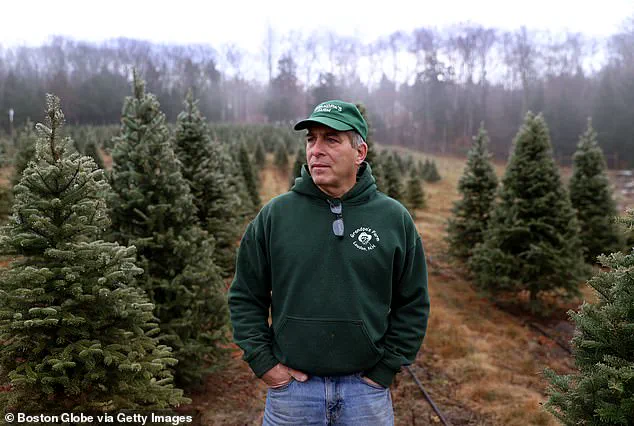 Trump's Tariffs Spark Urgent Economic Concerns: Holiday Spending at Risk as Inflation Rises