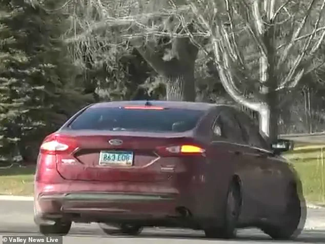 Two Dogs Abandoned in Minnesota Cold for Four Days, Resident Says