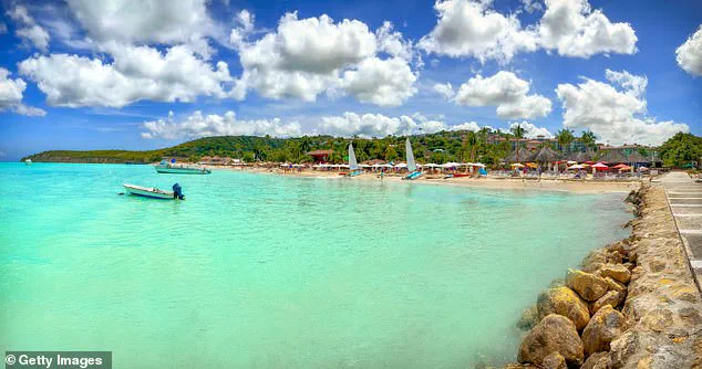 Brutal Attack on Wisconsin Woman During Antigua Horseback Riding Tour Leaves Her with Life-Threatening Injuries