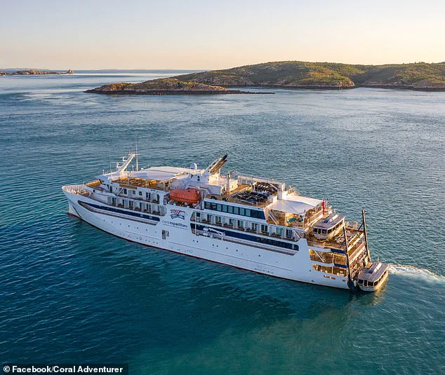 Luxury Cruise Ship Runs Aground, Sparking Calls for Safety Reforms and Accountability