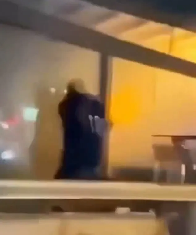 Swiss-Italian Financial Analyst Saves Dozens During New Year’s Eve Club Fire