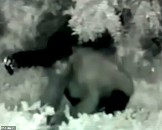 Urgent Crisis: Historic LA Cemetery Faces Relentless Lootings, 1,600 Graves Ravaged in Battle Between Preservationists and Thieves