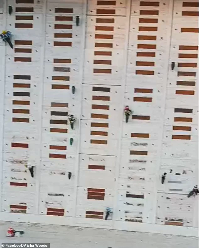 Urgent Crisis: Historic LA Cemetery Faces Relentless Lootings, 1,600 Graves Ravaged in Battle Between Preservationists and Thieves