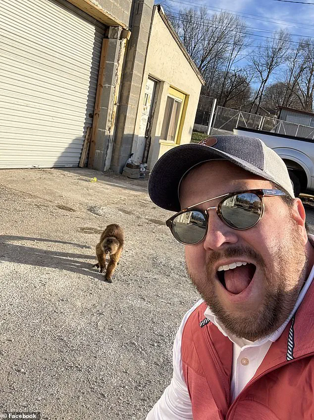 Cinnamon Capuchin Monkey Causes Chaos at Tennessee Store Before Being Captured by Local Hero