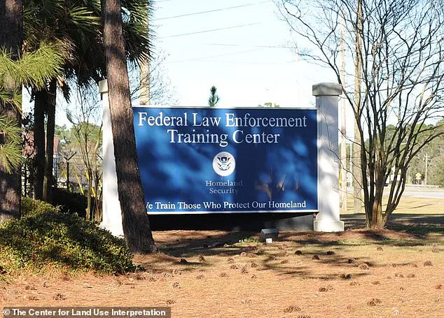 ICE Criticized for Lowered Standards in Trump's Deportation Hiring Initiative, Compromising Security and Trust