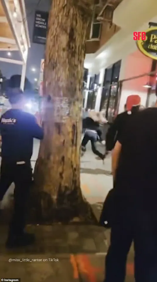 Bartender Terminated Following Physical Altercation with Inebriated Couple, Incident Captured on Viral Video