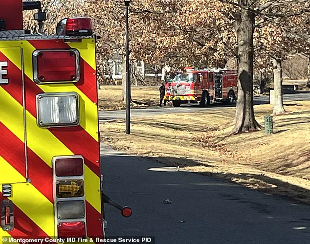 Chicken Coop Heat Lamp Sparks Devastating Fire, Destroying Million-Dollar Maryland Mansion