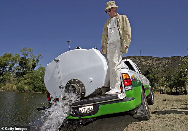 Exclusive: Ex-CEO of The Painted Turtle Faces 15 Felony Charges in $5.2M Embezzlement Scandal