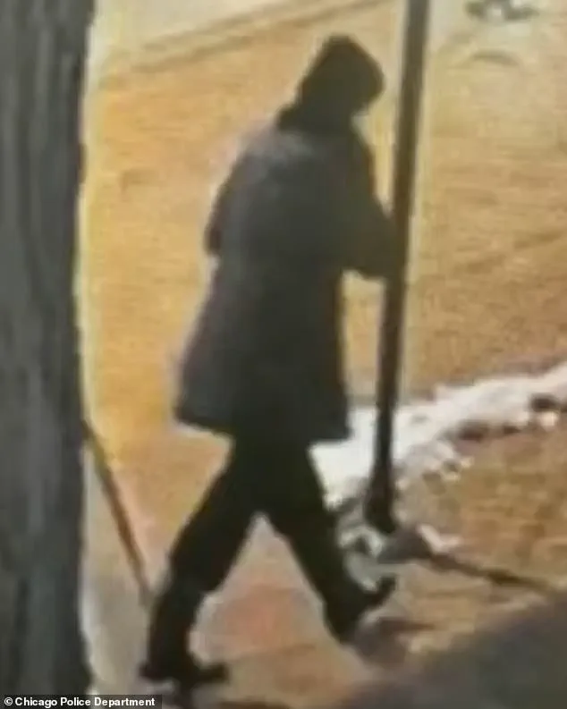 Government Agencies Conclude Search for Missing Teacher, Linda Brown, in Lake Michigan