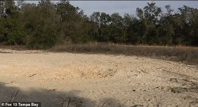 Tragic Sugar Sand Accident Claims Lives of Two Florida Teenagers