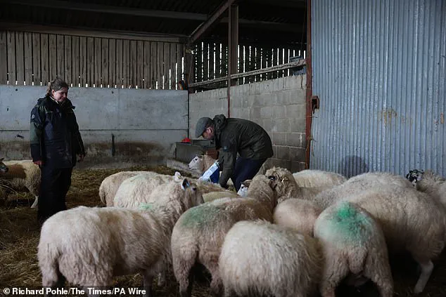 Prince William Highlights Farming Community's Mental Health Crisis: 'Vicio' Amid Hands-On Visit to Herefordshire Farm