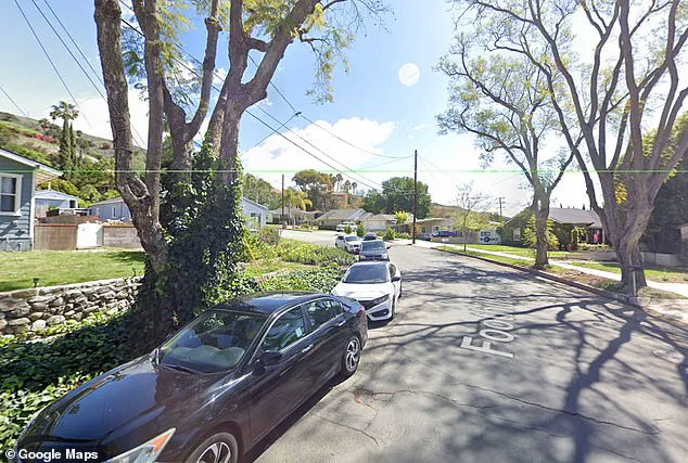 After 60 Years, Ronald Joseph Cole's Remains Found in Geneseo, Illinois, Bringing Closure to Family and Investigators