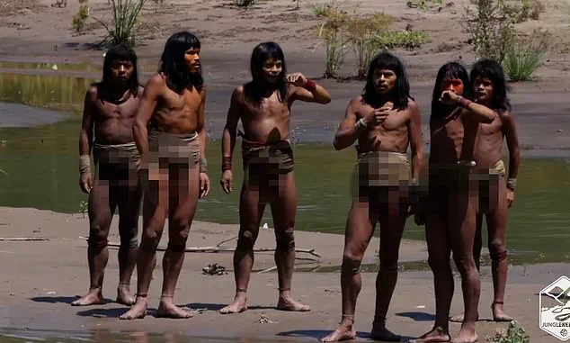 First High-Definition Footage Reveals Insights into the Lives of an Uncontacted Indigenous Tribe