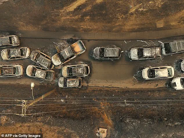 Chile Wildfires Claim 18 Lives, Force 50,000 Evacuations as Blazes Rage Through Southern Regions