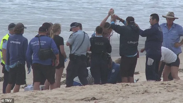 Sydney Beaches on Lockdown After Three Shark Attacks, Including Two Children, Spark Calls for Safety Measures